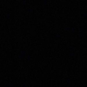 Meet your Posher, Tamara